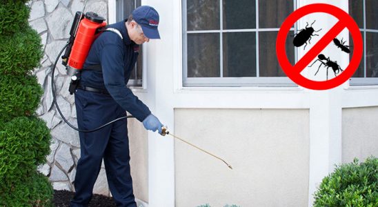 Ağın Akrep İlaçlama böcek ilaçlama ve haşere kontrolü — ilaclama-tr.com